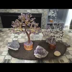 Meet your Posher, Rosa